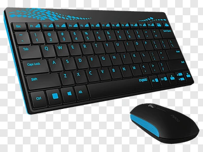 mouse